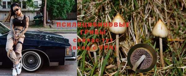 спайс Баксан