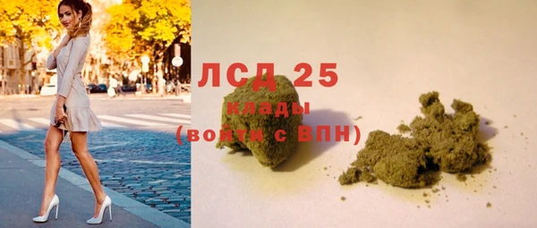 спайс Баксан