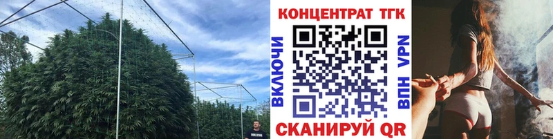 Дистиллят ТГК гашишное масло  ссылка на мегу зеркало  Белорецк 